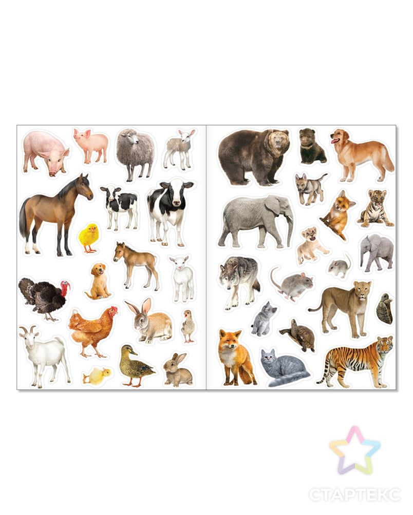 Многоразовые наклейки набор «Такие разные животные», А4, 2 шт. арт. СМЛ-205656-1-СМЛ0004543053 3