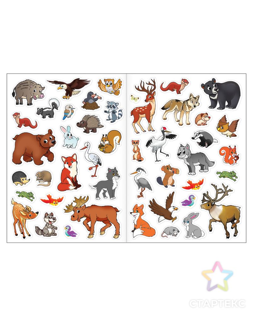Многоразовые наклейки набор «Изучаем животных», 2 шт. арт. СМЛ-205665-1-СМЛ0004543062 4