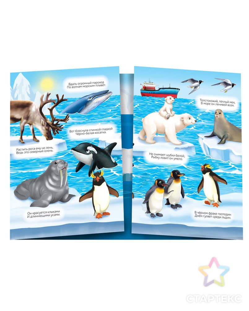 Многоразовые наклейки набор «Животные со всего света», 2 шт. арт. СМЛ-205667-1-СМЛ0004543064 5