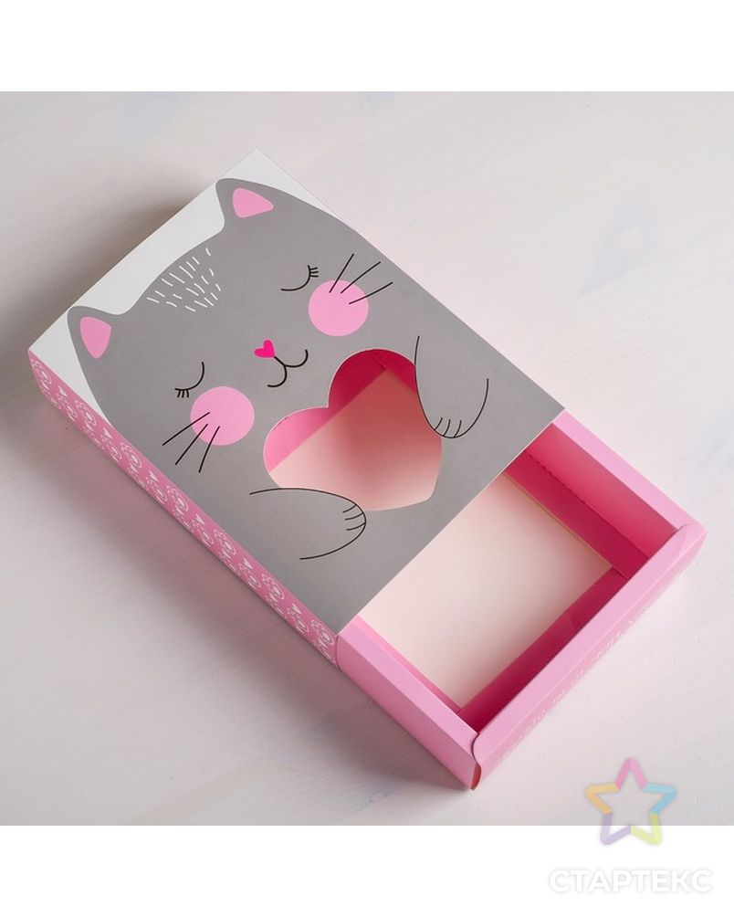 Коробка для сладостей «Котик», 20 × 15 × 5 см арт. СМЛ-79534-1-СМЛ0004599446 5