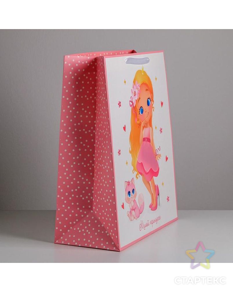 Пакет ламинированный «Милой принцессе», XL 49 × 40 × 19 см арт. СМЛ-87151-1-СМЛ0004623301 2