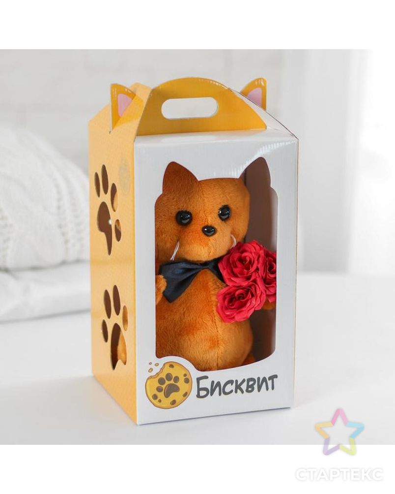 кот бисквит. бискиты котики.