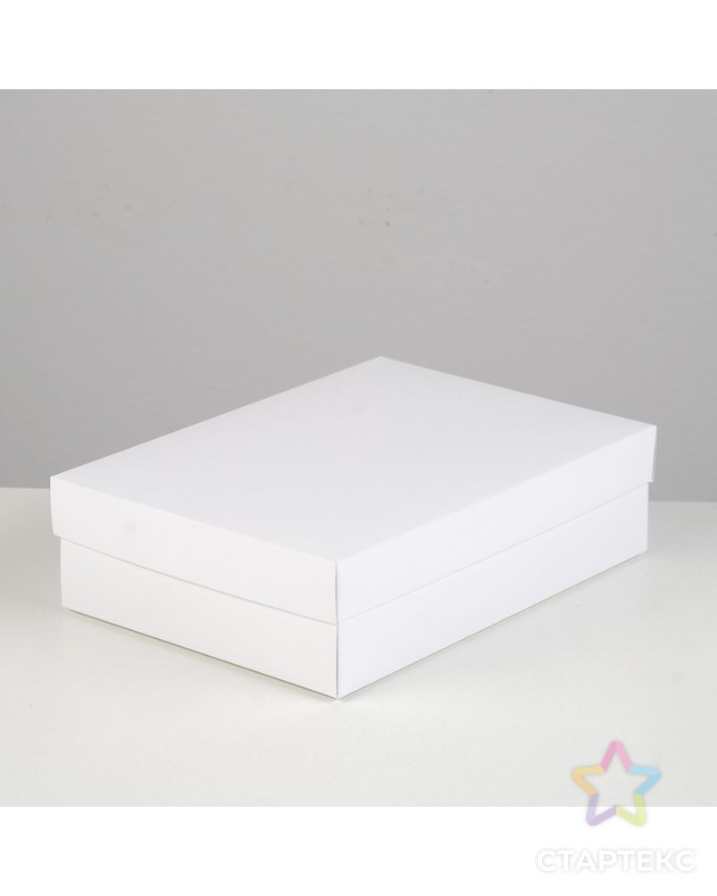 Коробка картонная без окна, мятная, 21 х 15 х 5 см арт. СМЛ-98990-4-СМЛ0004627667 1