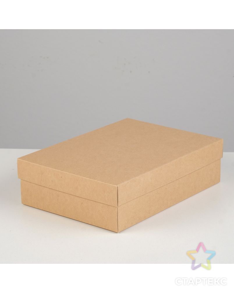 Коробка картонная без окна, мятная, 21 х 15 х 5 см арт. СМЛ-98990-2-СМЛ0004627668 2