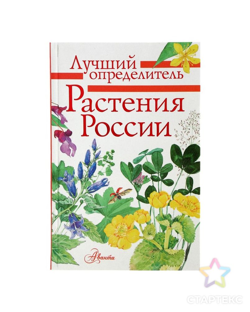 Лучший определитель «Растения России» арт. СМЛ-112004-1-СМЛ0004646229 1