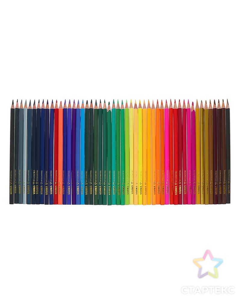 Карандаши цветные 50 цветов, трёхгранные, матовые, деревянные, в картонной коробке арт. СМЛ-197771-1-СМЛ0004647471
