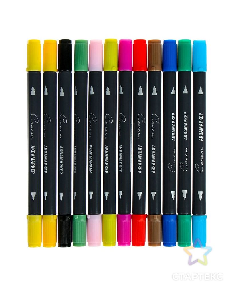 Набор художественных маркеров «Сонет», 12 цветов, водная основа, двусторонний: пулевидная/кисть, основные цвета арт. СМЛ-205849-1-СМЛ0004675463 2