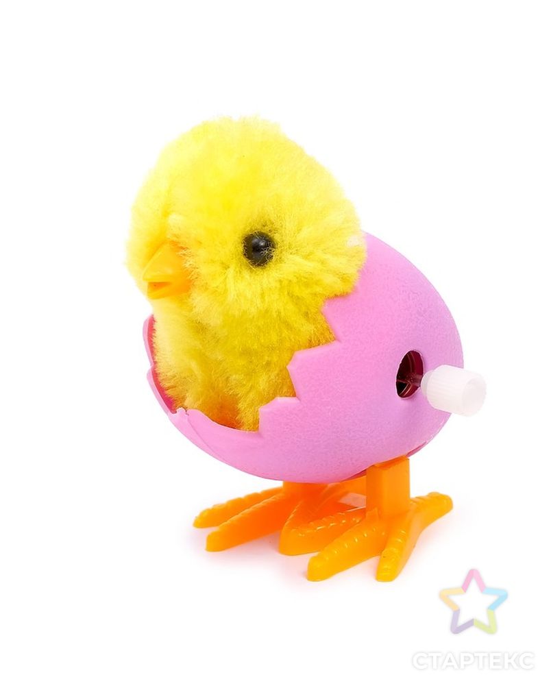 Заводная игрушка «Цыплёнок в яйце», МИКС арт. СМЛ-80037-1-СМЛ0004686124 2