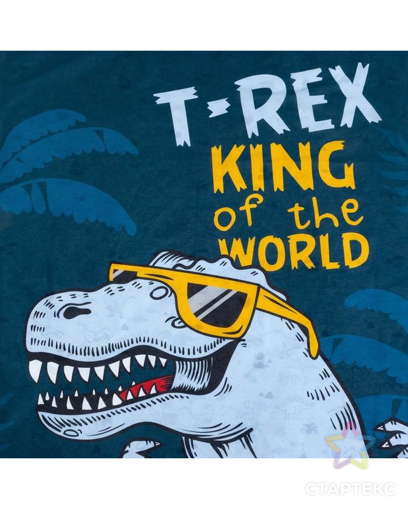 Постельное бельё «Этель» 1.5 сп T-Rex king 143*215 см, 150*214 см, 50*70 см -1 шт,100% хл, бязь арт. СМЛ-177056-1-СМЛ0004702792