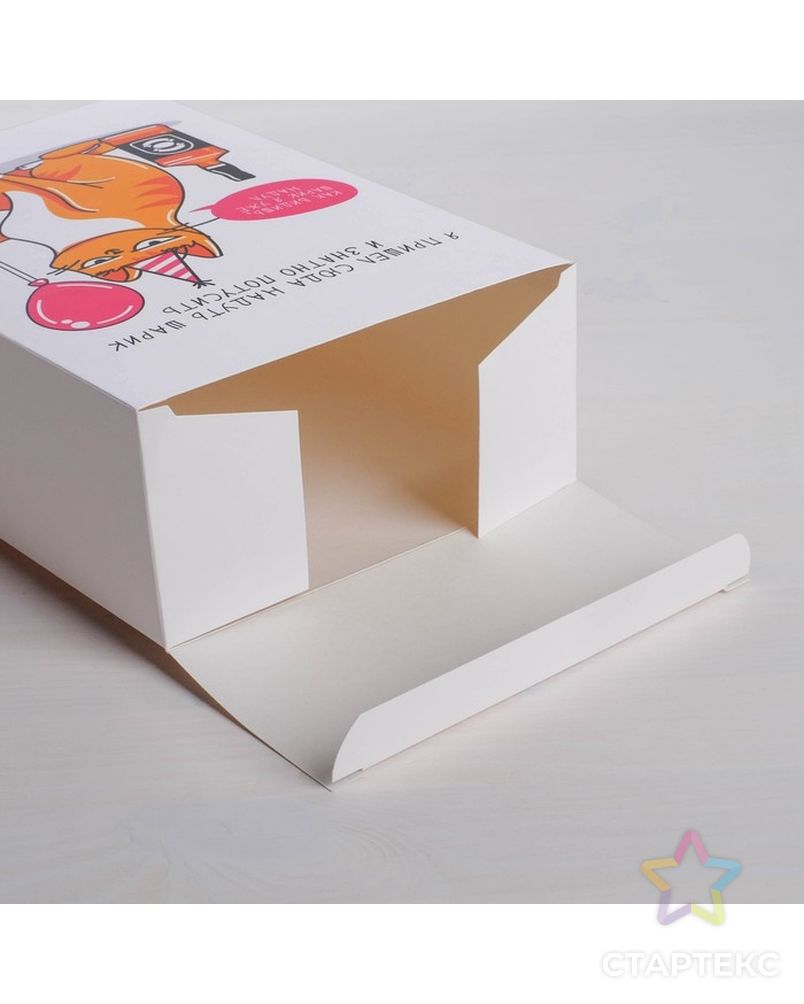 Коробка складная «Кот с шариком», 16 × 23 × 7.5 см арт. СМЛ-78290-1-СМЛ0004721311 3