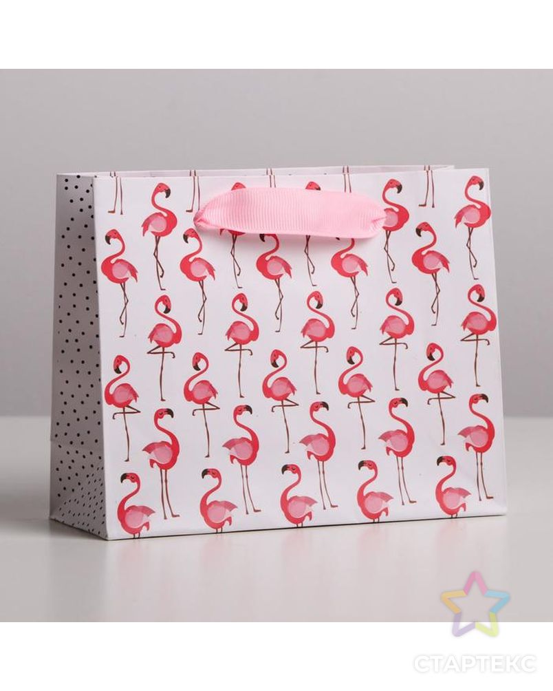 Пакет ламинированный горизонтальный «Фламинго», ML 27 × 23 × 11,5 см арт. СМЛ-101135-4-СМЛ0004725110 1