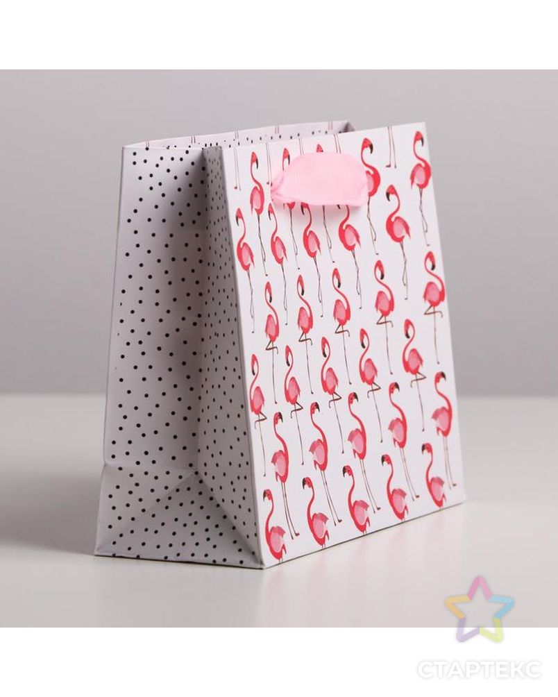 Пакет ламинированный горизонтальный «Фламинго», ML 27 × 23 × 11,5 см арт. СМЛ-101135-4-СМЛ0004725110 2
