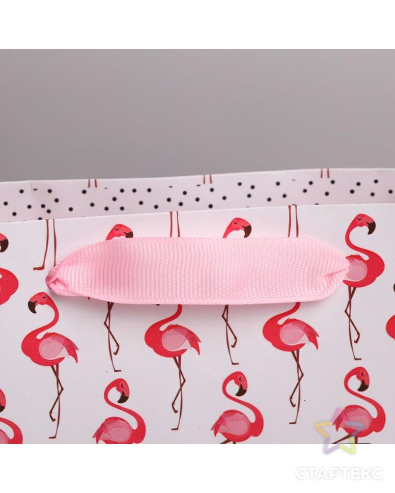 Пакет ламинированный горизонтальный «Фламинго», ML 27 × 23 × 11,5 см арт. СМЛ-101135-4-СМЛ0004725110 3