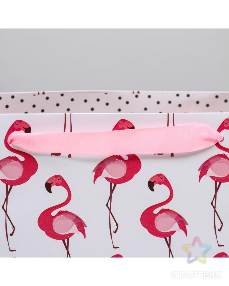 Пакет ламинированный горизонтальный «Фламинго», ML 27 × 23 × 11,5 см арт. СМЛ-101135-1-СМЛ0004725112 3