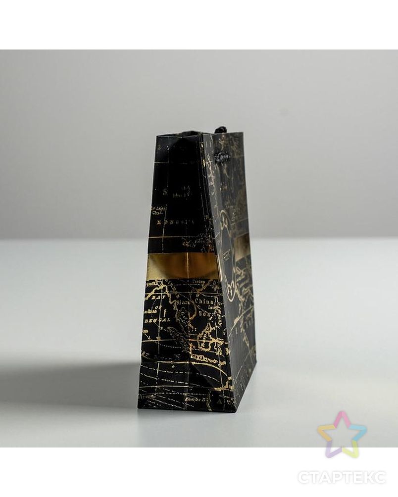 Пакет ламинированный вертикальный «Единорог», M 26 × 30 × 9 см арт. СМЛ-101149-4-СМЛ0004725164 4
