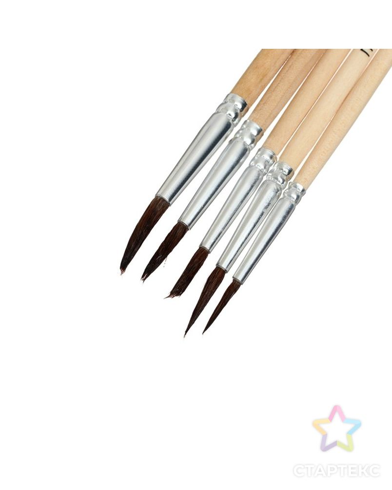 Набор кистей Пони 5 штук (круглые:№1,2,3,4,5) с деревянными ручками на блистере арт. СМЛ-218089-1-СМЛ0004725856 3