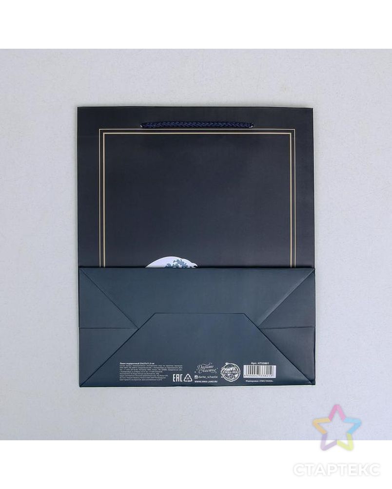 Пакет ламинированный вертикальный Present, MS 18 × 23 × 10 см арт. СМЛ-101115-4-СМЛ0004733801 4