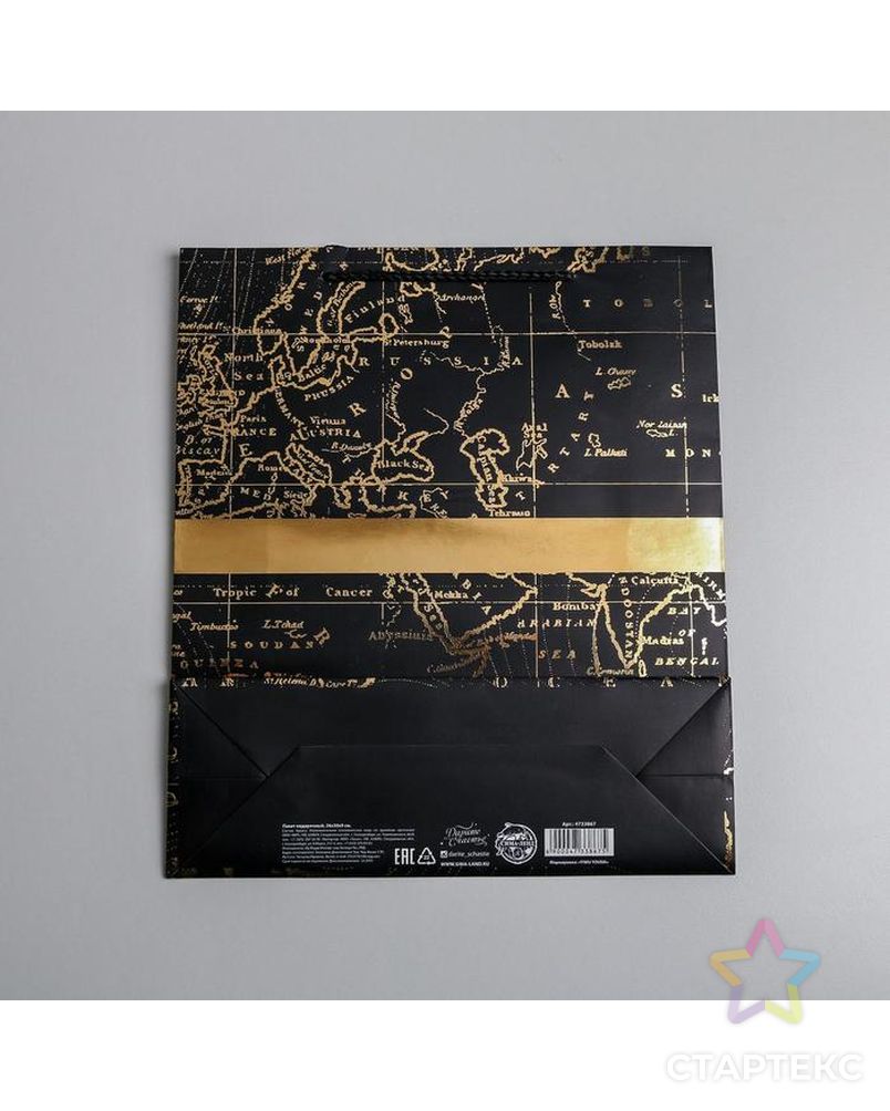 Пакет ламинированный вертикальный Gold present, L 31 × 40 × 11,5 см арт. СМЛ-101106-2-СМЛ0004733867 3