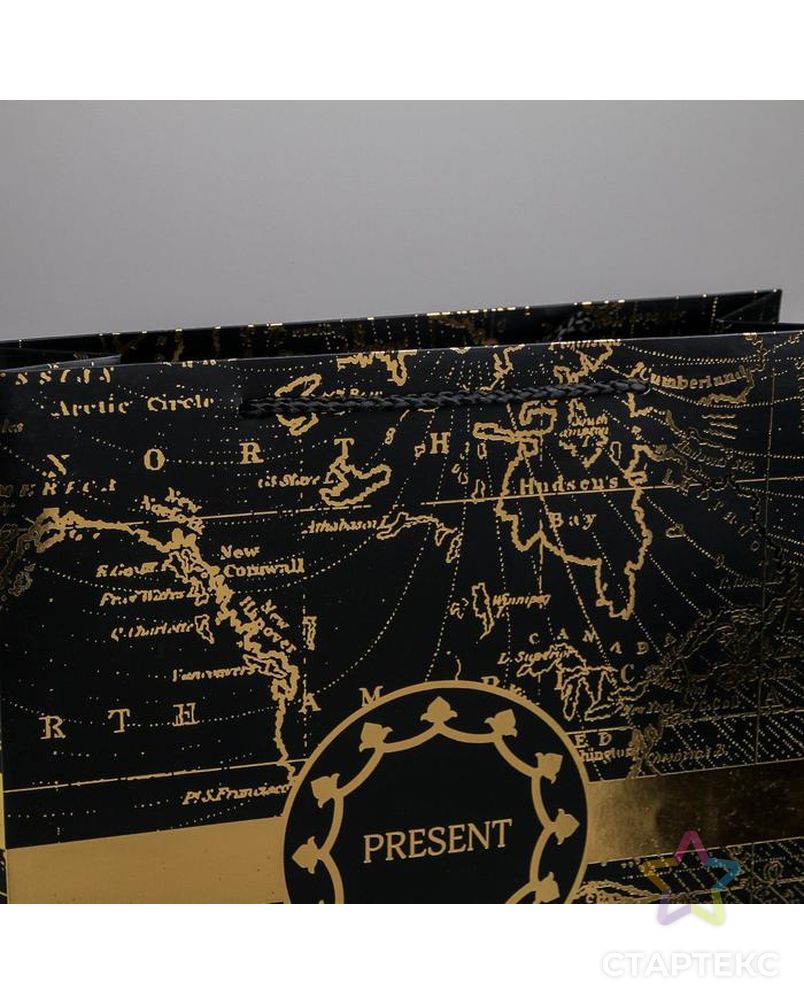 Пакет ламинированный вертикальный Gold present, L 31 × 40 × 11,5 см арт. СМЛ-101106-2-СМЛ0004733867 4