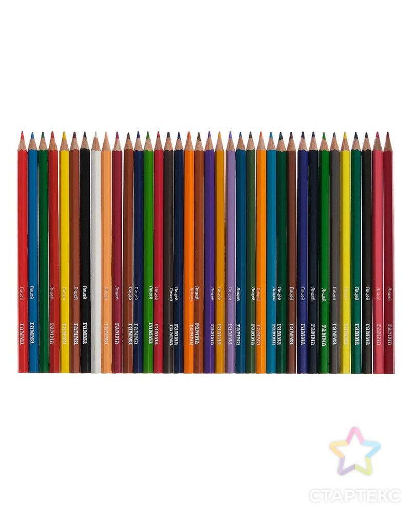 Карандаши цветные акварельные 36 цветов, «Гамма» «Лицей», с кистью, шестигранные арт. СМЛ-175578-1-СМЛ0004746804 2