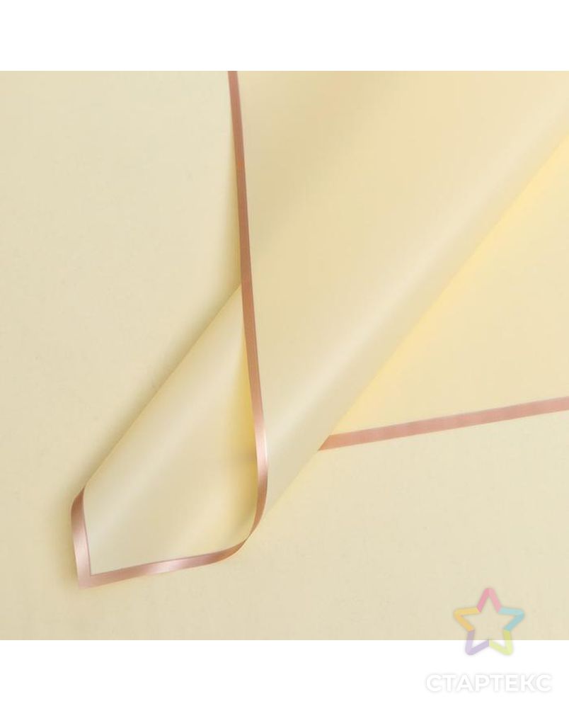 Пленка для цветов "Золотая полоса", светло-розовый, 58 х 58 см арт. СМЛ-139469-11-СМЛ0004758575 1