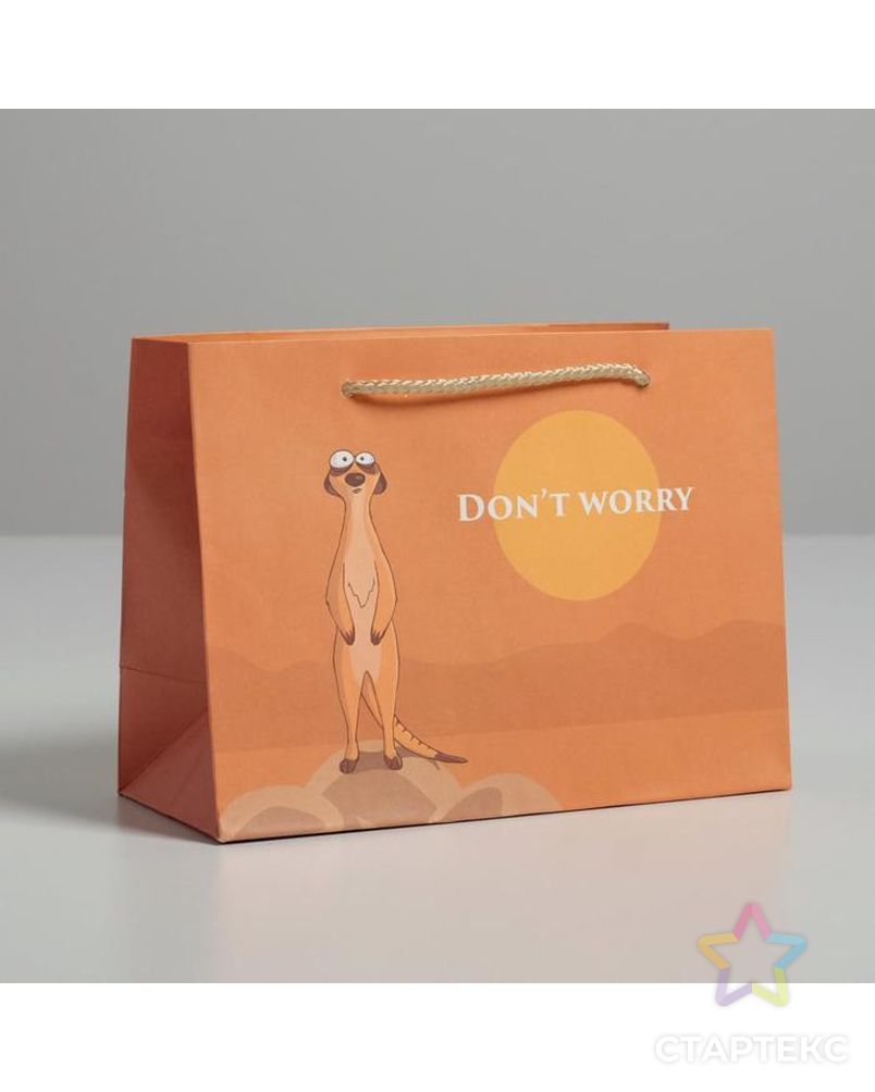 Пакет подарочный Don not worry, 14,5 × 19,5 × 8,5 см арт. СМЛ-105404-1-СМЛ0004783335 1