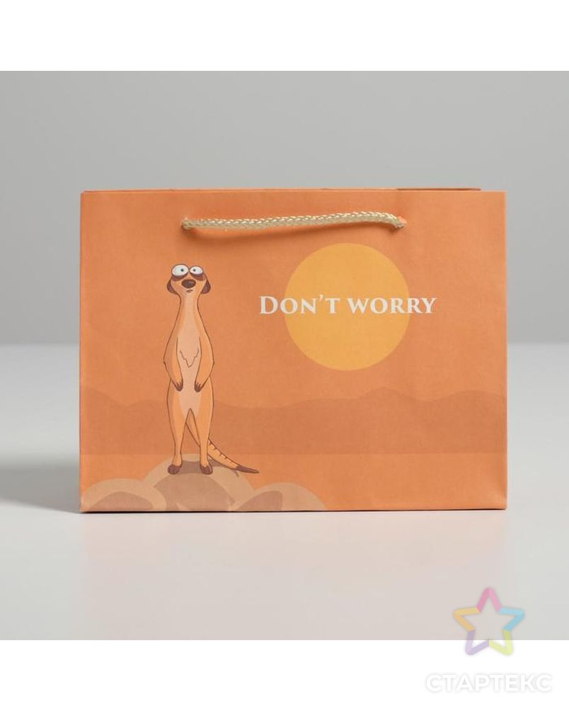 Пакет подарочный Don not worry, 14,5 × 19,5 × 8,5 см арт. СМЛ-105404-1-СМЛ0004783335 2