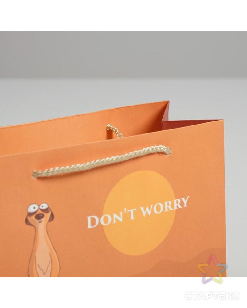 Пакет подарочный Don not worry, 14,5 × 19,5 × 8,5 см арт. СМЛ-105404-1-СМЛ0004783335 5