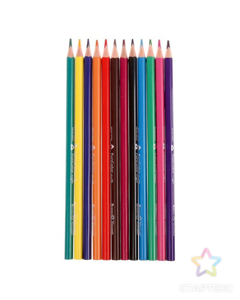 Карандаши цветные 12 цветов Funcolor пластиковые, в картонной тубе, микс из 4 видов арт. СМЛ-175699-1-СМЛ0004808841 3