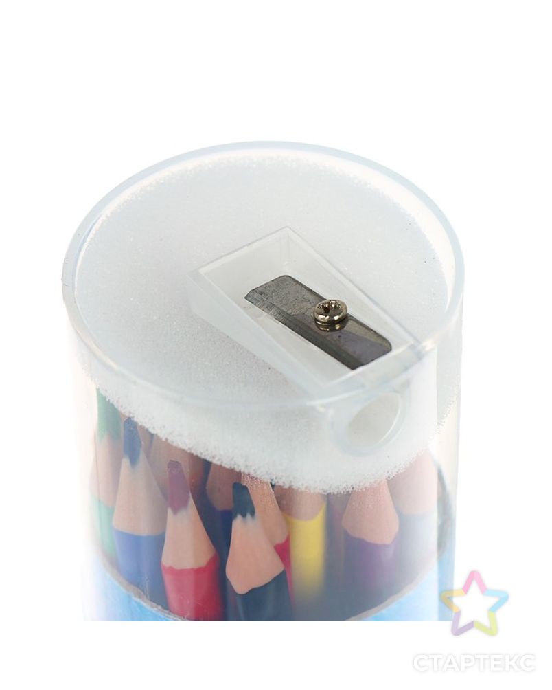 Карандаши цветные 24 цвета Funcolor пластиковые, в картонной тубе, МИКС арт. СМЛ-175701-1-СМЛ0004808843 2