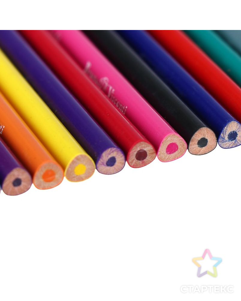Карандаши цветные 24 цвета Funcolor пластиковые, в картонной тубе, МИКС арт. СМЛ-175701-1-СМЛ0004808843 4