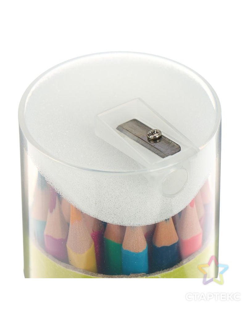 Карандаши цветные 36 цветов Funcolor пластиковые, в картонной тубе, микс из 4 видов арт. СМЛ-175702-1-СМЛ0004808844 2