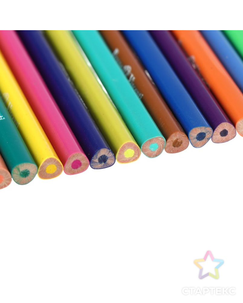 Карандаши цветные 36 цветов Funcolor пластиковые, в картонной тубе, микс из 4 видов арт. СМЛ-175702-1-СМЛ0004808844 4