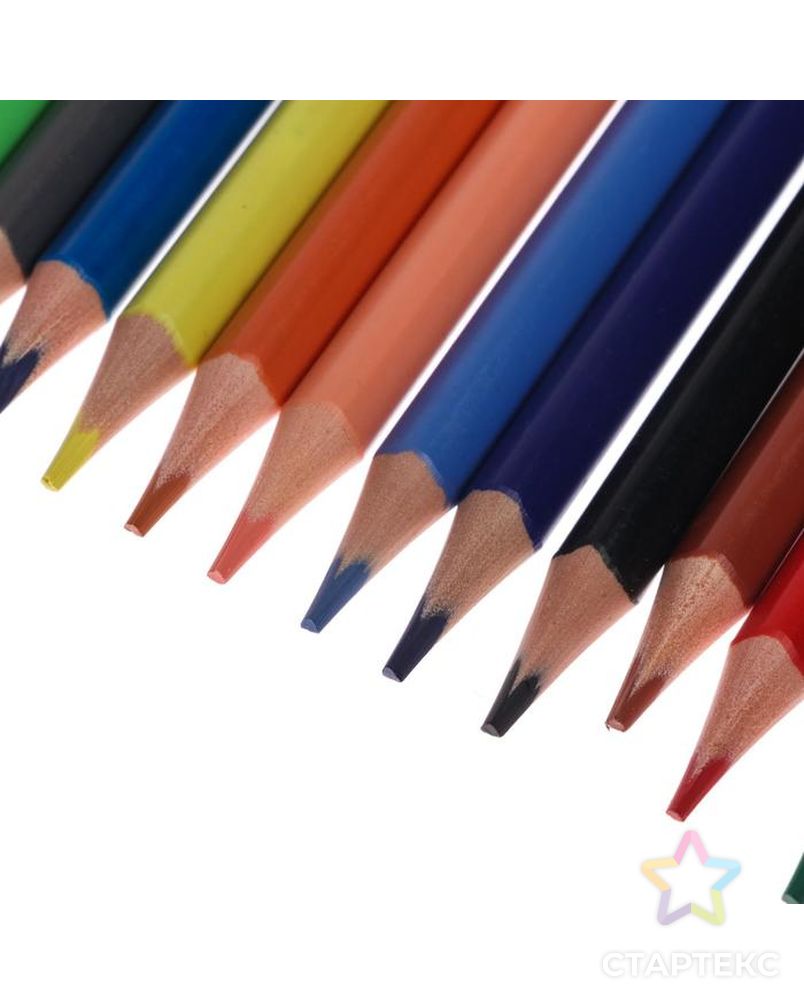 Карандаши цветные 36 цветов Funcolor пластиковые, МИКС арт. СМЛ-175704-1-СМЛ0004808846 5