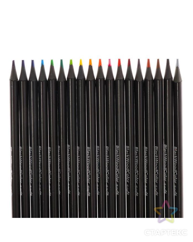Карандаши цветные 18 цветов BlackWoodColor МИКС арт. СМЛ-179419-1-СМЛ0004810928 4