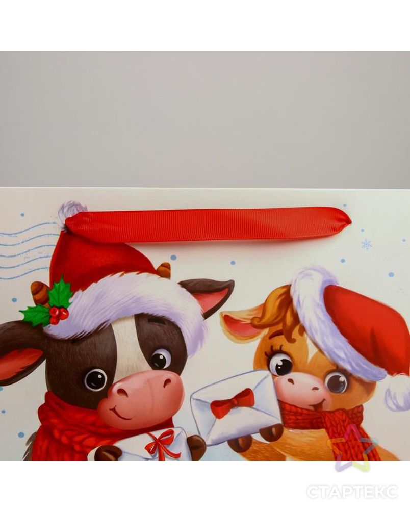 Пакет ламинированный горизонтальный «Новогодняя посылка», MS 23 × 18 × 10 см арт. СМЛ-101468-3-СМЛ0004843244 3
