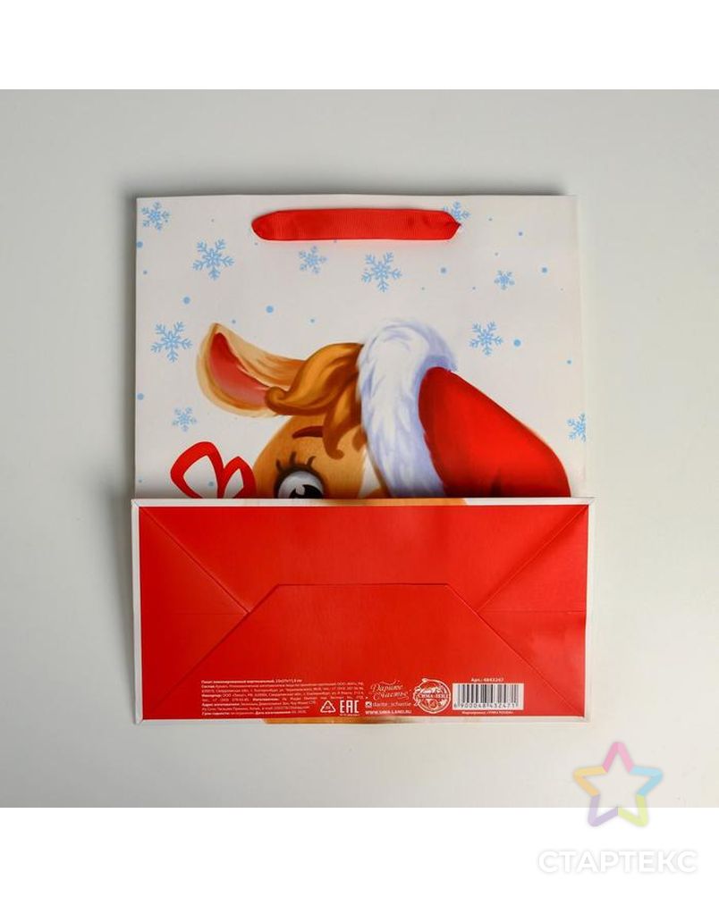 Пакет ламинированный вертикальный «Подарочек», MS 18 × 23 × 10 см арт. СМЛ-101469-2-СМЛ0004843247 4