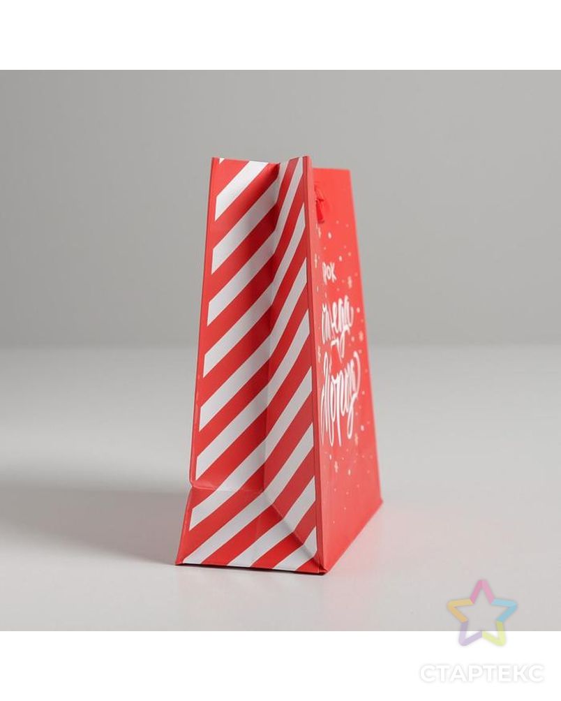 Пакет ламинированный вертикальный «Подарок от Деда Мороза», L 31 × 40 × 11,5 см арт. СМЛ-101476-5-СМЛ0004843278 2