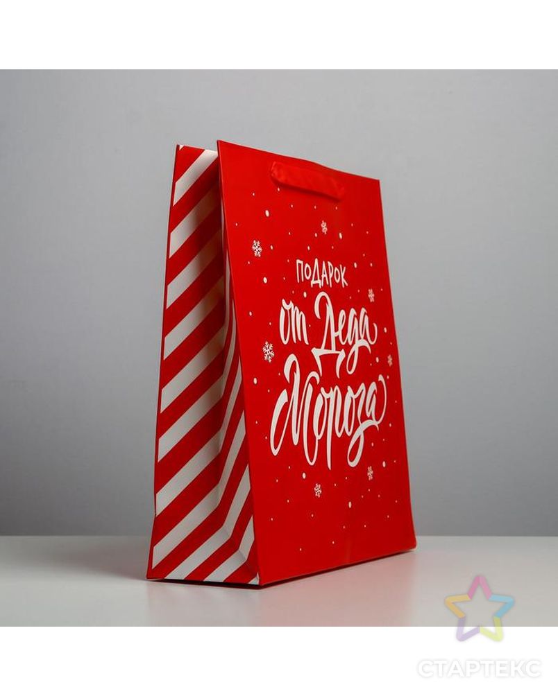 Пакет ламинированный вертикальный «Подарок от Деда Мороза», L 31 × 40 × 11,5 см арт. СМЛ-101476-4-СМЛ0004843281 2