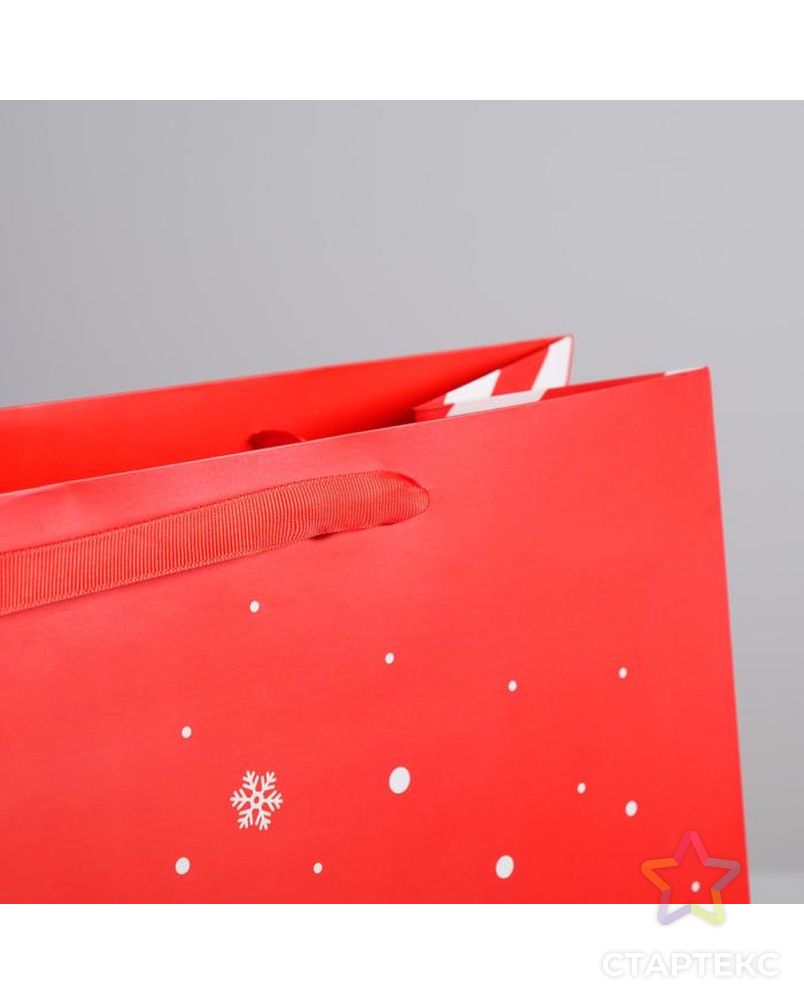 Пакет ламинированный вертикальный «Подарок от Деда Мороза», L 31 × 40 × 11,5 см арт. СМЛ-101476-6-СМЛ0004843283 3
