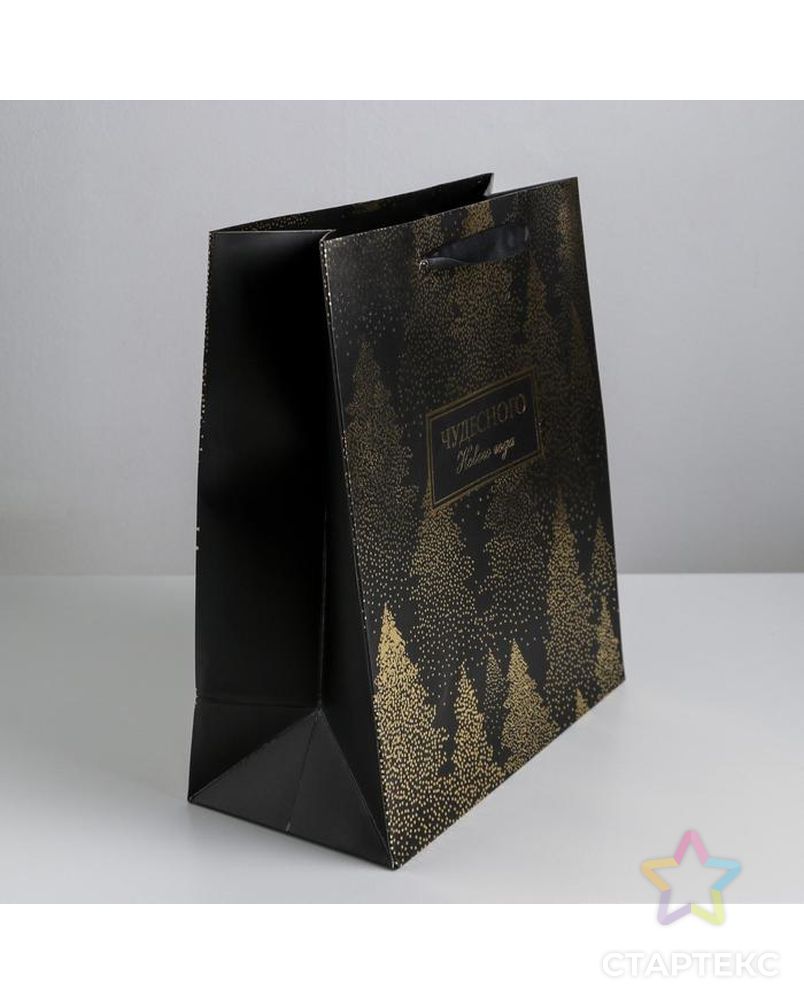 Пакет ламинированный вертикальный «Чудесного Нового года», L 31 × 40 × 11,5 см арт. СМЛ-101477-5-СМЛ0004843291 2