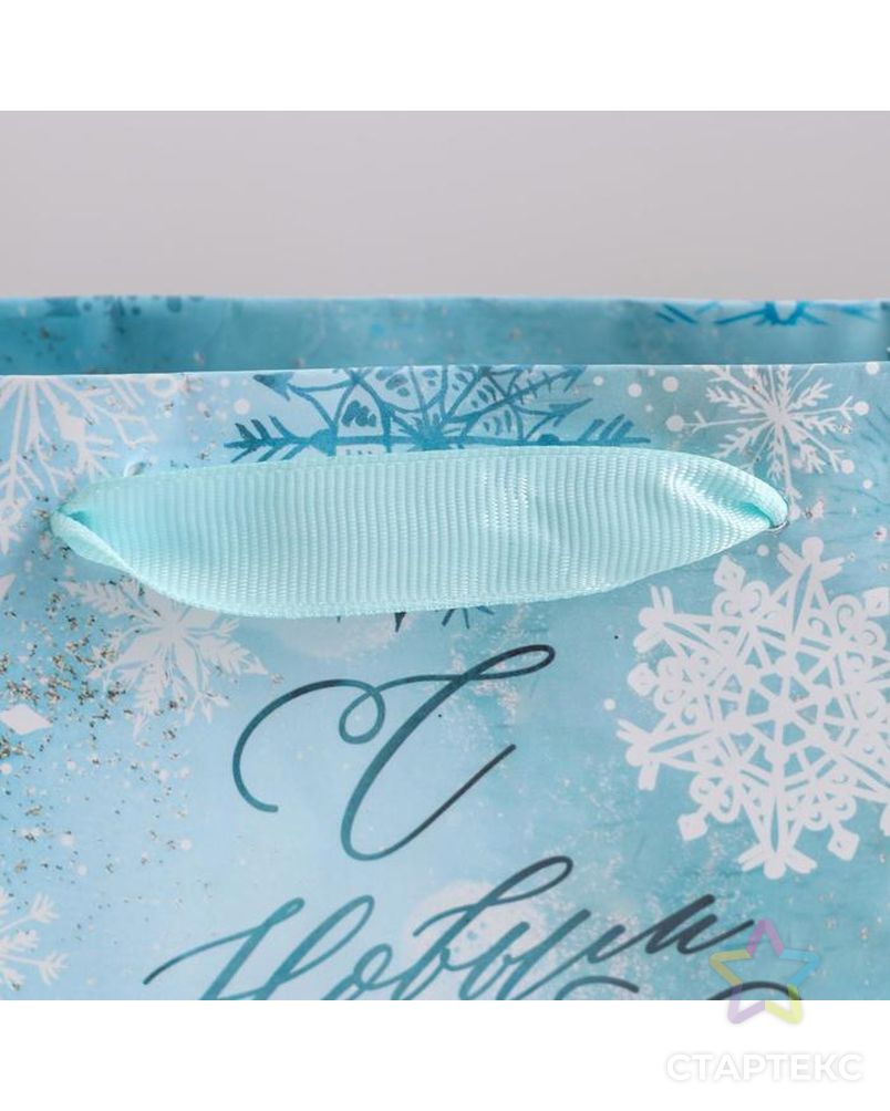 Пакет ламинированный горизонтальный «Морозный день», MS 23 × 18 × 10 см арт. СМЛ-101490-3-СМЛ0004843362 3