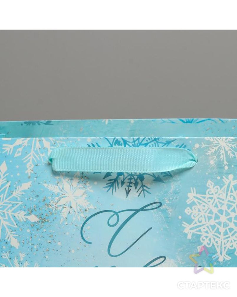 Пакет ламинированный горизонтальный «Морозный день», MS 23 × 18 × 10 см арт. СМЛ-101490-1-СМЛ0004843363