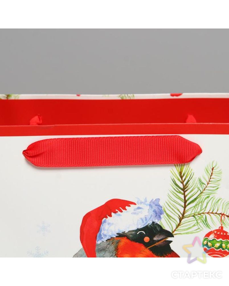 Пакет ламинированный горизонтальный «Снегирёчек», MS 23 × 18 × 10 см арт. СМЛ-101494-1-СМЛ0004843389 3