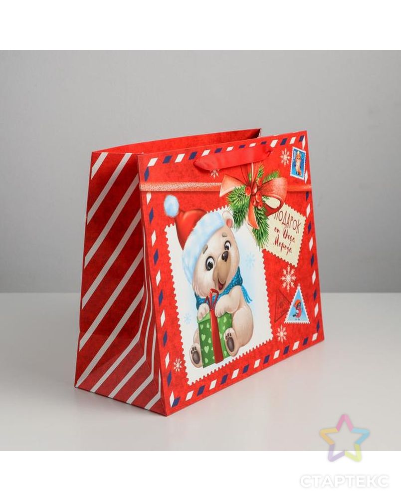 Пакет ламинированный горизонтальный «Подарок от Деда Мороза», MS 23 × 18 × 10 см арт. СМЛ-101497-2-СМЛ0004843397 2