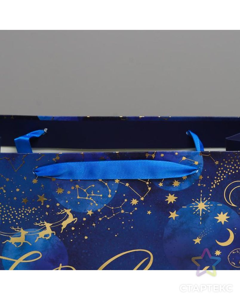 Пакет ламинированный горизонтальный «Волшебная ночь», ML 27 × 23 × 11,5 см арт. СМЛ-101504-1-СМЛ0004843426