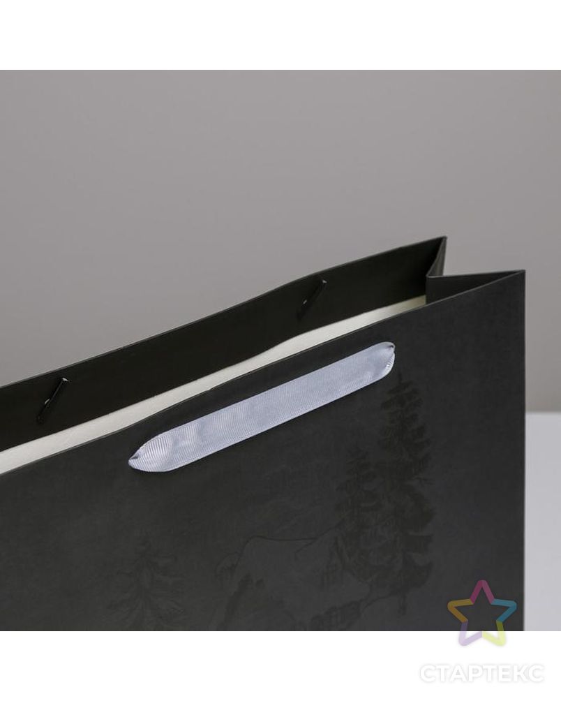 Пакет ламинированный горизонтальный «Лесная опушка», ML 27 × 23 × 11,5 см арт. СМЛ-101506-2-СМЛ0004843437