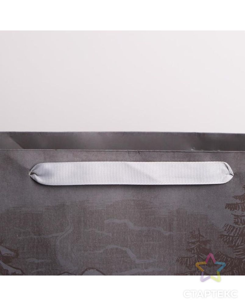 Пакет ламинированный горизонтальный «Лесная опушка», ML 27 × 23 × 11,5 см арт. СМЛ-101506-3-СМЛ0004843438 2