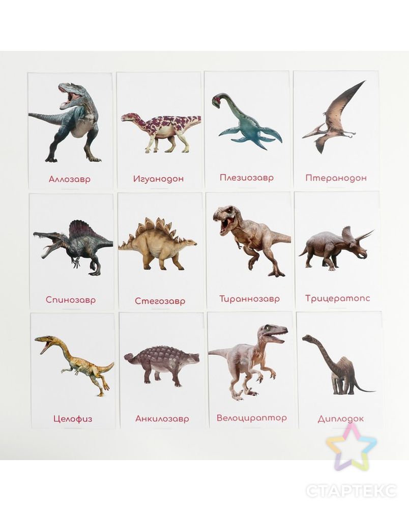 Карточки Домана динозавры