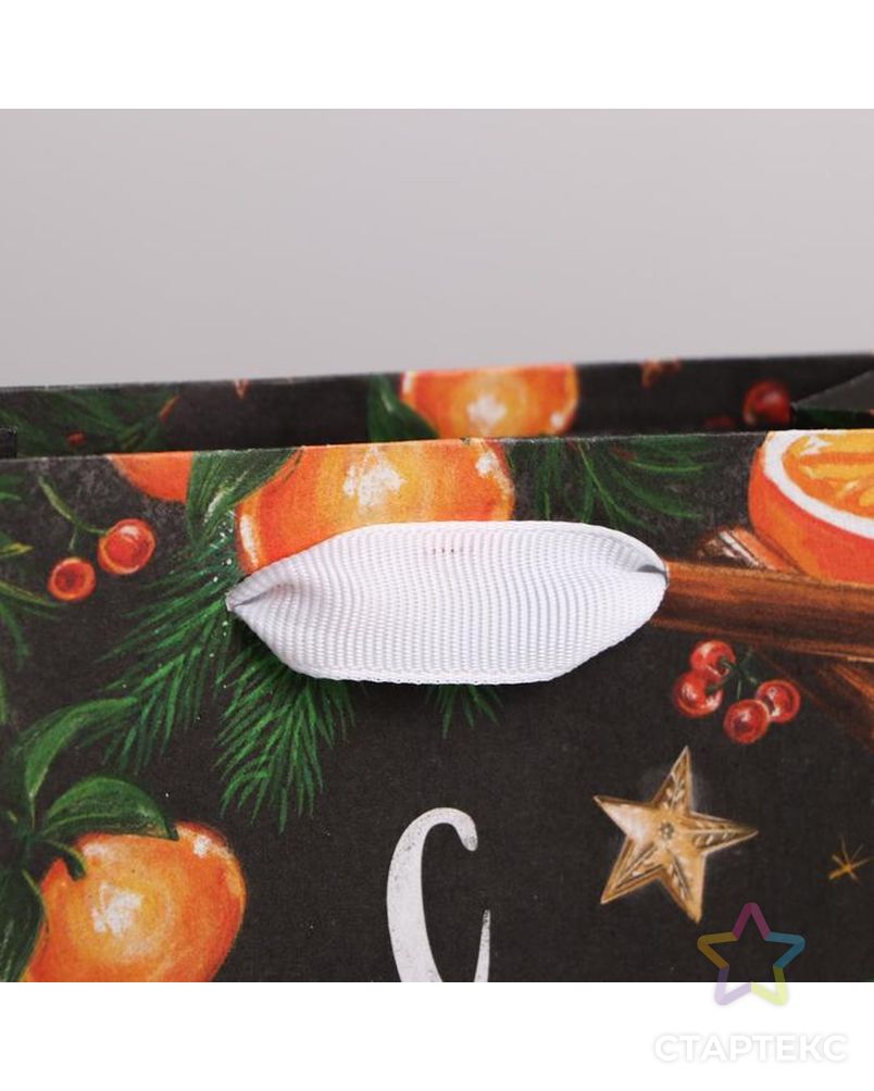 Пакет крафтовый вертикальный «Новогодние мандарины», MS 18 × 23 × 10 см арт. СМЛ-101405-2-СМЛ0004865527 2